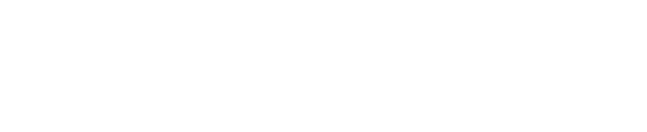 Verbatim Languages logo and wordmark